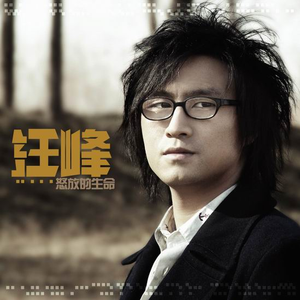 日韩av成人电影
