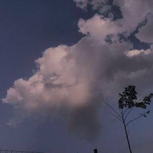 日韩av成人电影
